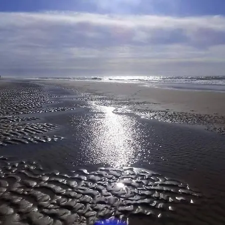 Tinyhouse Carpe Diem Casa de Férias *