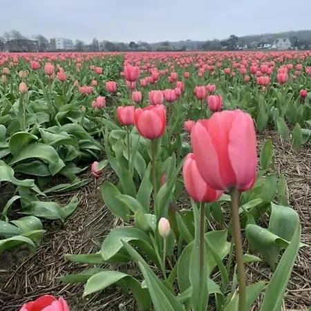 Сasa de vacaciones Tinyhouse Carpe Diem *
