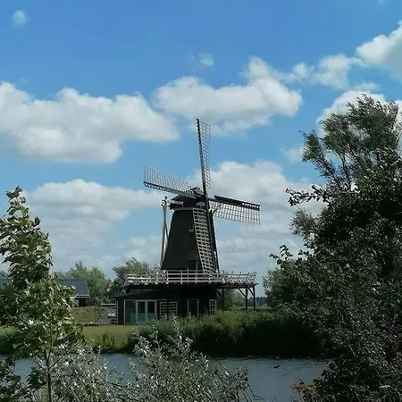 Tinyhouse Carpe Diem * Dirkshorn