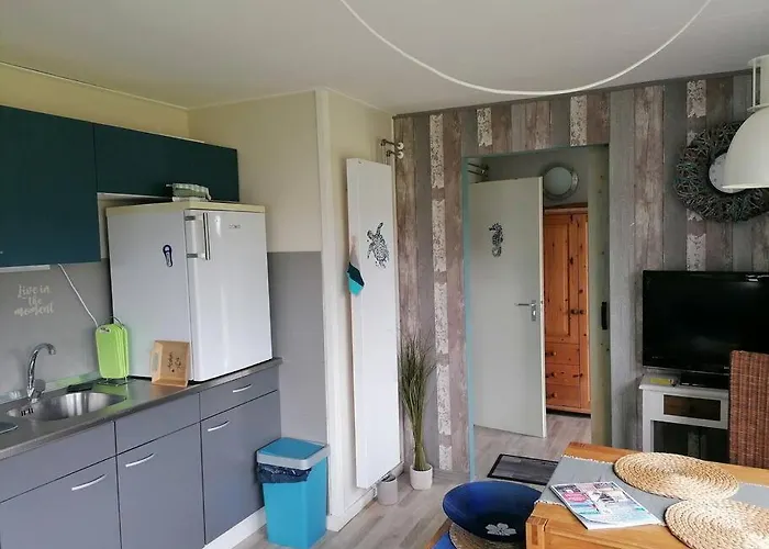 Tinyhouse Carpe Diem בית נופש Dirkshorn