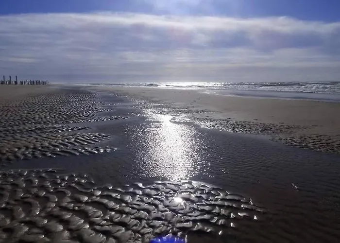 Tinyhouse Carpe Diem Prázdninový dům *